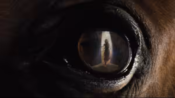 War Horse, still 6