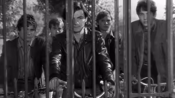 Four young men stand behind metal bars, one gripping the gate
