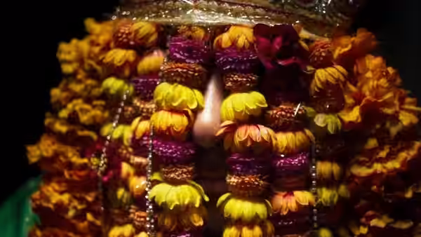 A person peers through dense yellow and purple flower garlands