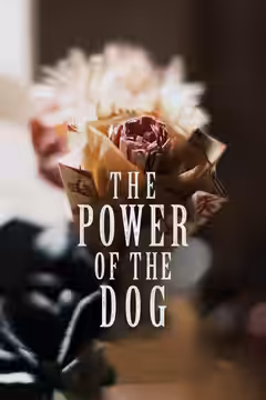 The Power of the Dog poster 3