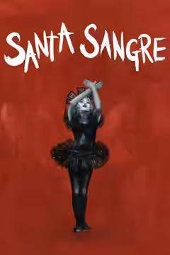 Santa Sangre poster