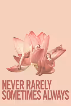 Never Rarely Sometimes Always poster 2