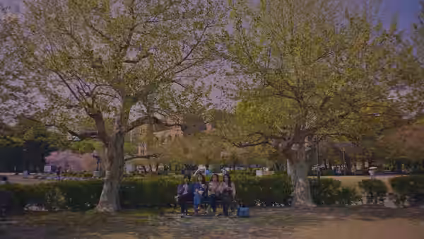Group of people sitting on a bench in a park with cherry trees