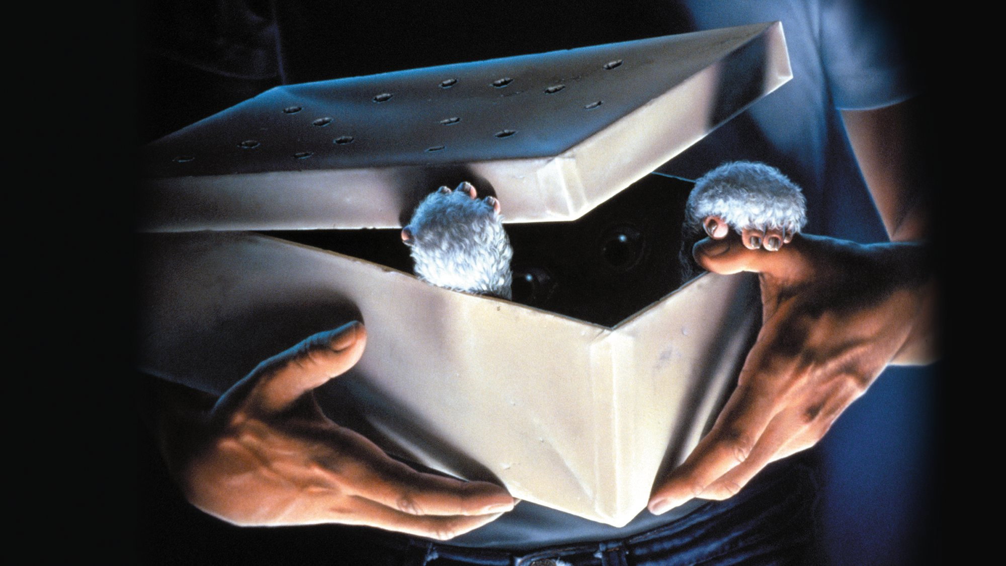 Gremlins, still 5