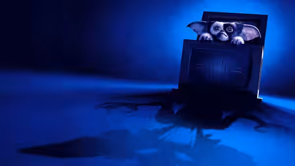 A small furry creature peeks out from an open black box on the floor