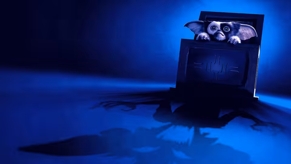 A small furry creature peeks out from an open black box on the floor