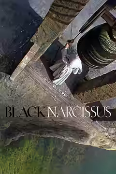 Black Narcissus poster 2