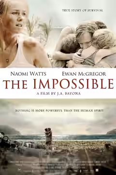 The Impossible poster 6