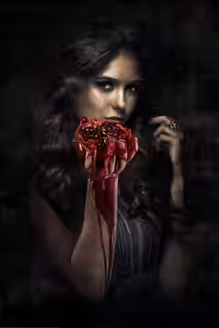 The Vampire Diaries poster 7