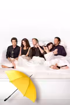 How I Met Your Mother poster 8