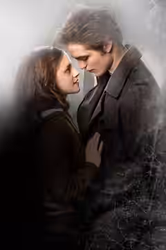 Twilight poster 6