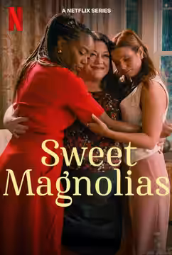 Sweet Magnolias poster 2