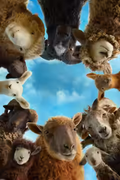 The Sheep Detectives poster 2