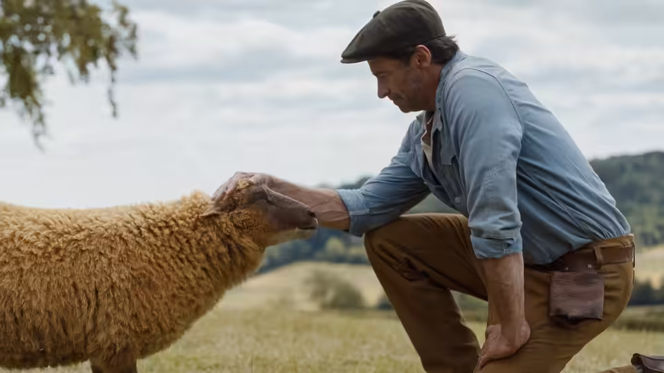 George Hardy (Hugh Jackman) kneels to touch a sheep in a grassy field