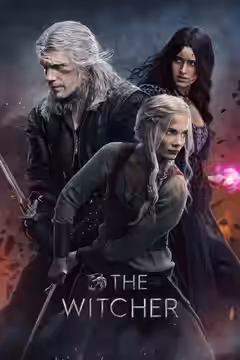 The Witcher poster 4