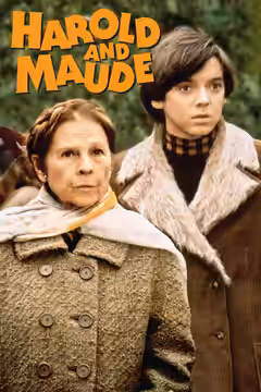 Harold and Maude poster 4
