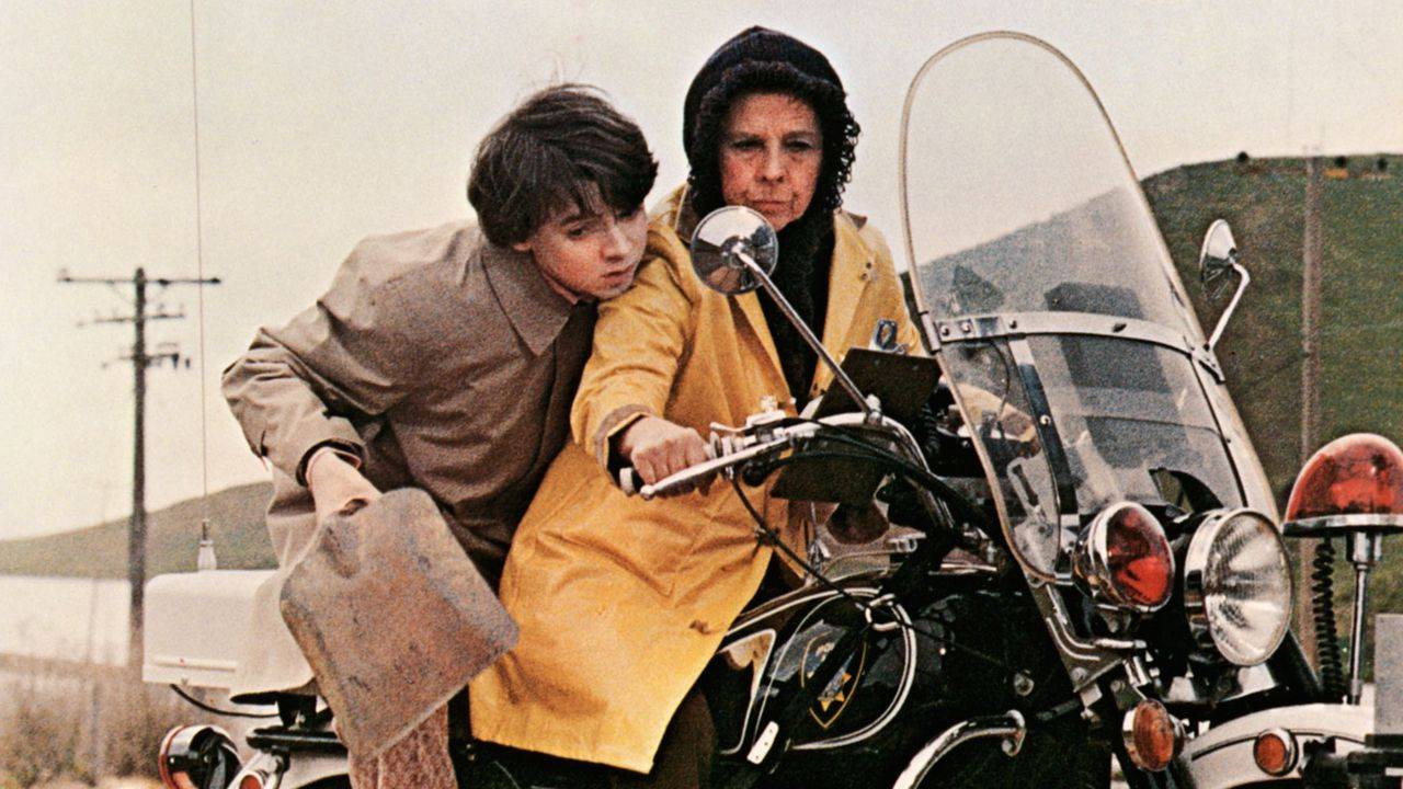 Harold and Maude, still 2