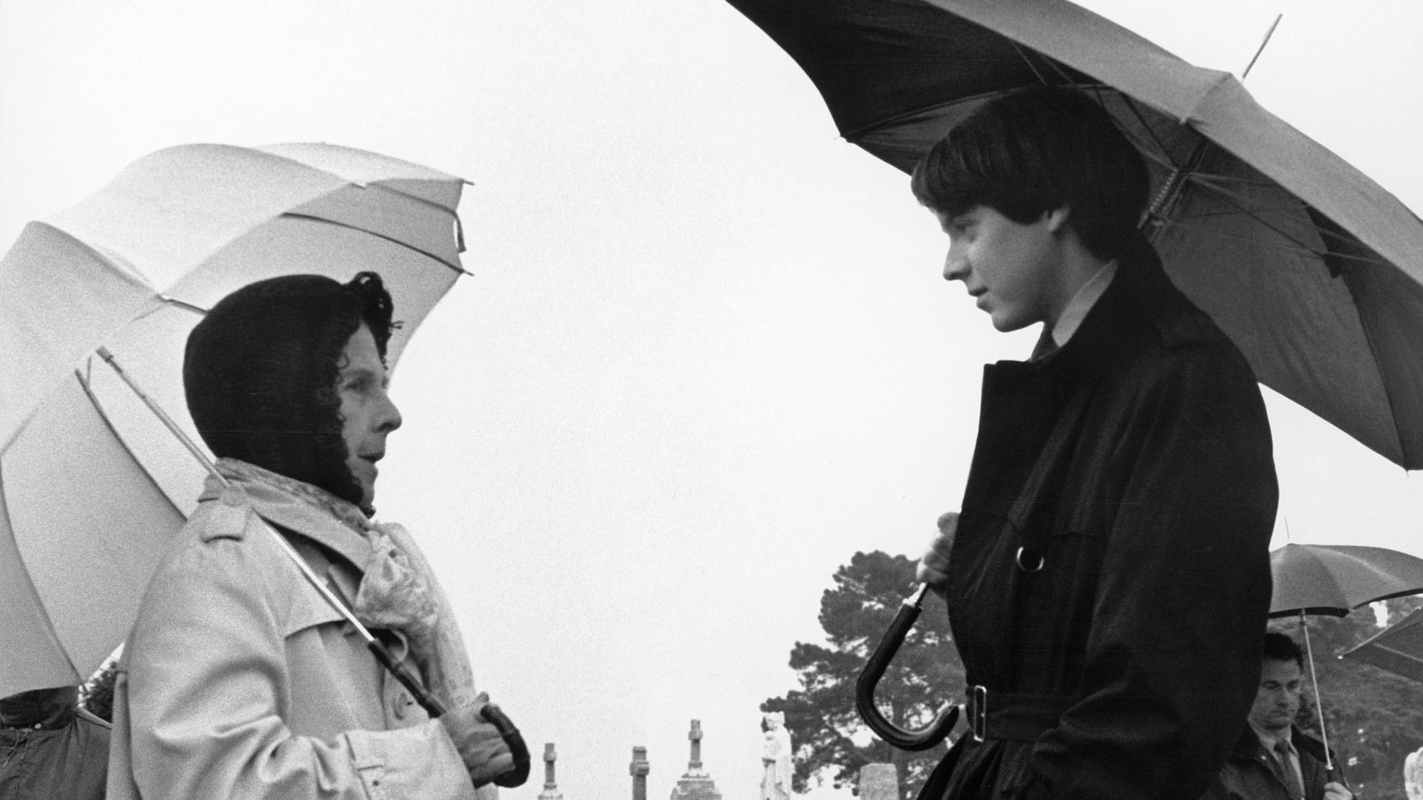 Harold and Maude, still 4