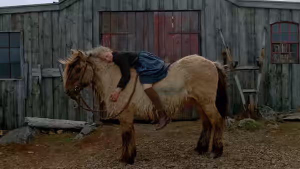 A young girl lying on the back of a horse in front of a wooden barn
