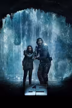 65 poster 2