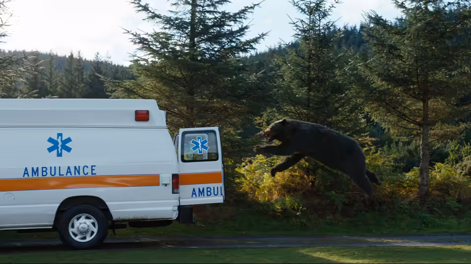 A bear leaping toward the open rear doors of an ambulance in woods