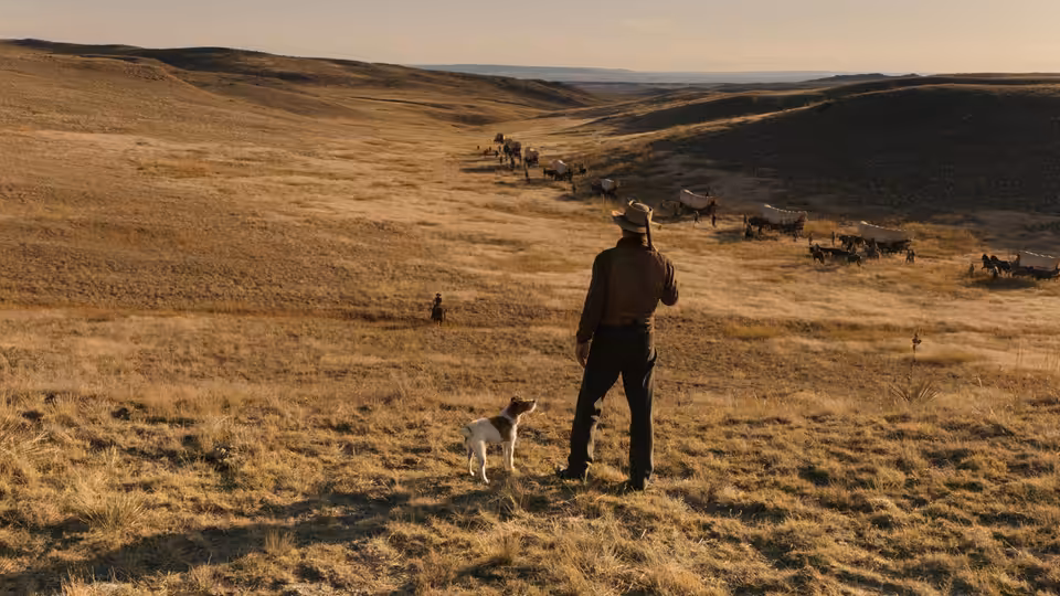 a man and dog overlooking a wagon train on the prairie