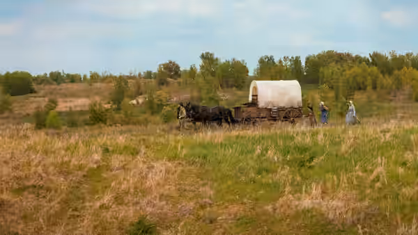 A covered wagon moves through tall grass pulled by horses