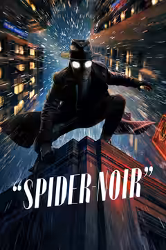 Spider-Noir poster