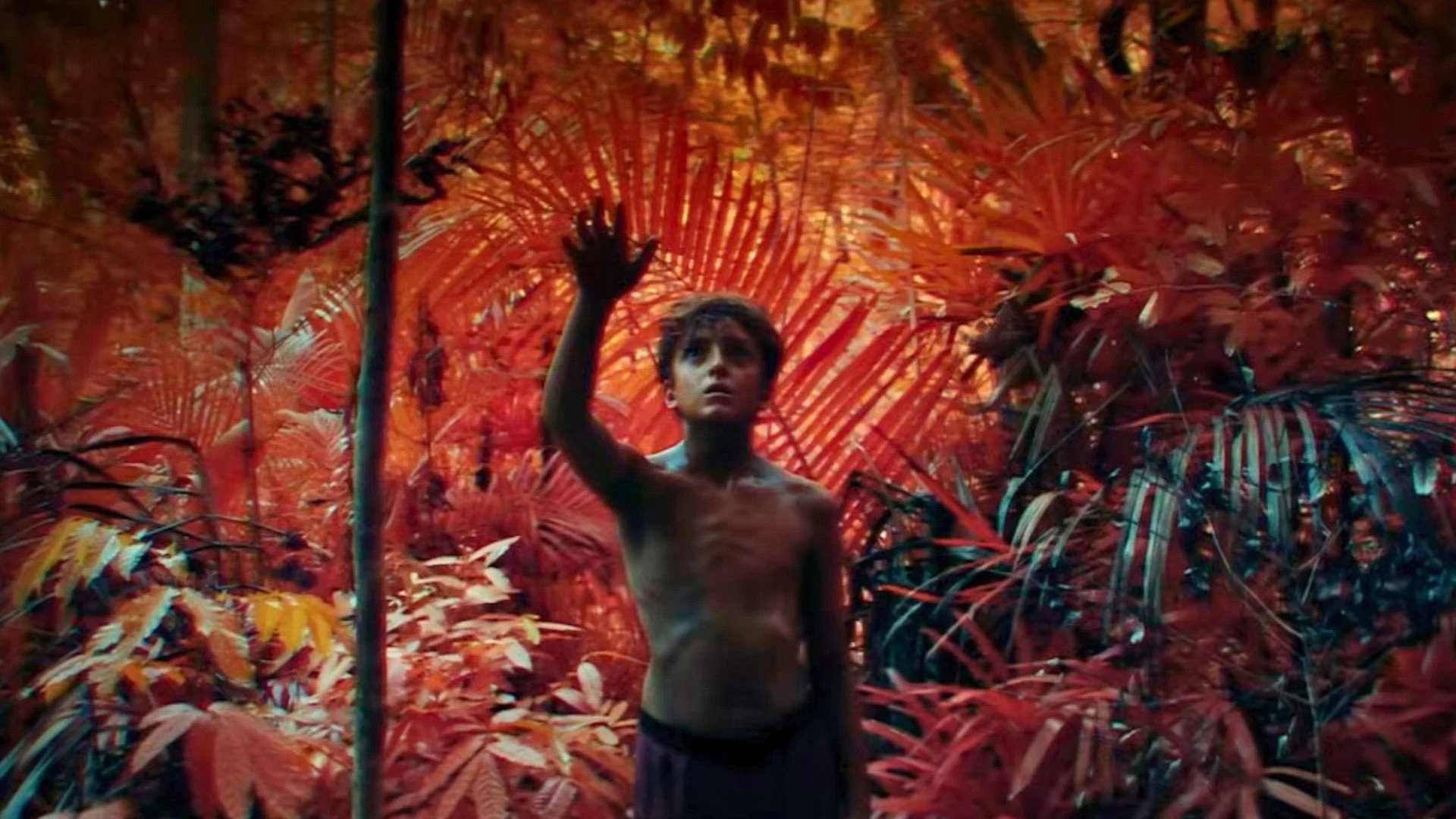 Lord of the Flies, still 5