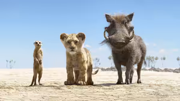 Meerkat young lion and warthog stand side by side on open sandy ground