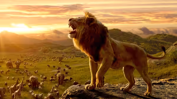 Adult lion roars from a rock as a herd gathers across the savanna at sunset