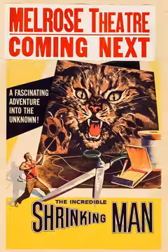 The Incredible Shrinking Man poster 3