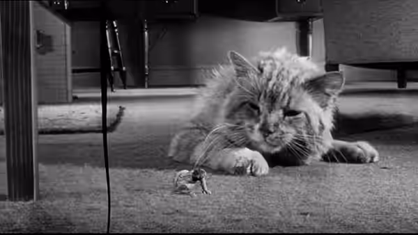 A cat watches a tiny man on the floor beneath a cabinet