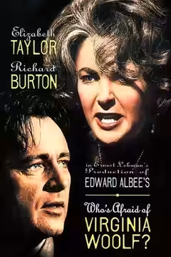 Who's Afraid of Virginia Woolf? poster 3