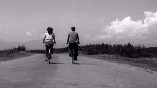 two cyclists ride away down a straight rural road under bright sky