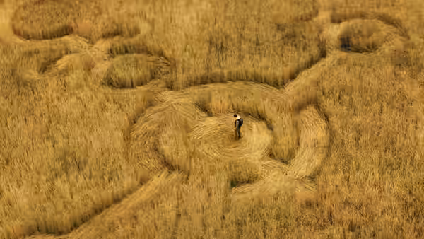 A lone figure stands amid intricate crop circles in a golden field