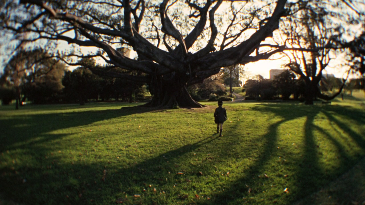 Walkabout, still 5