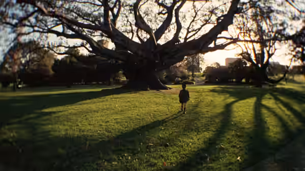 White Boy (Luc Roeg) walking across grass toward a large tree