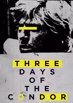 Three Days of the Condor poster 4