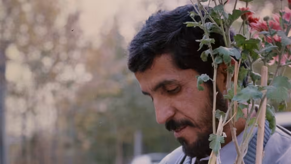 Hossain Sabzian gazing downward beside a plant with pink flowers