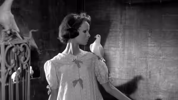 A young woman looks back at a white dove perched on her shoulder
