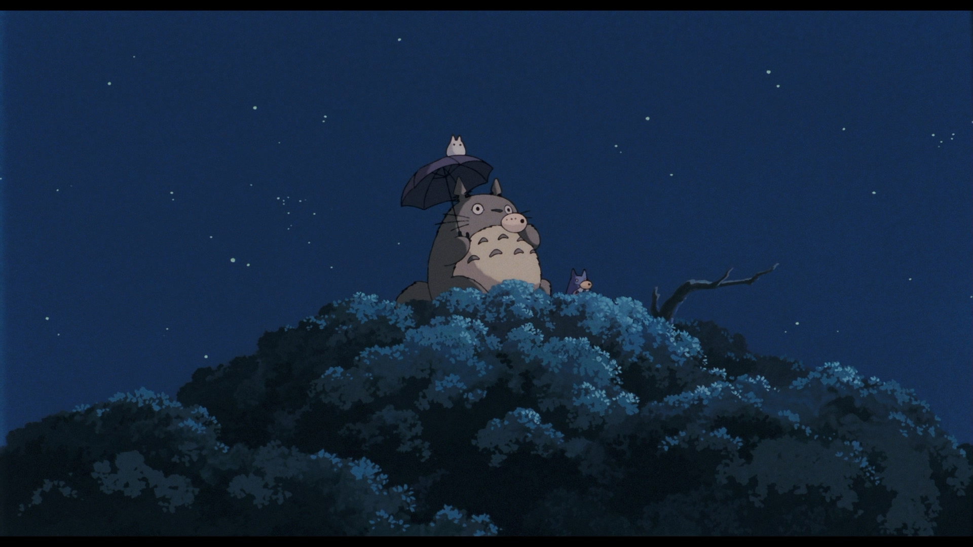 My Neighbor Totoro, still 6
