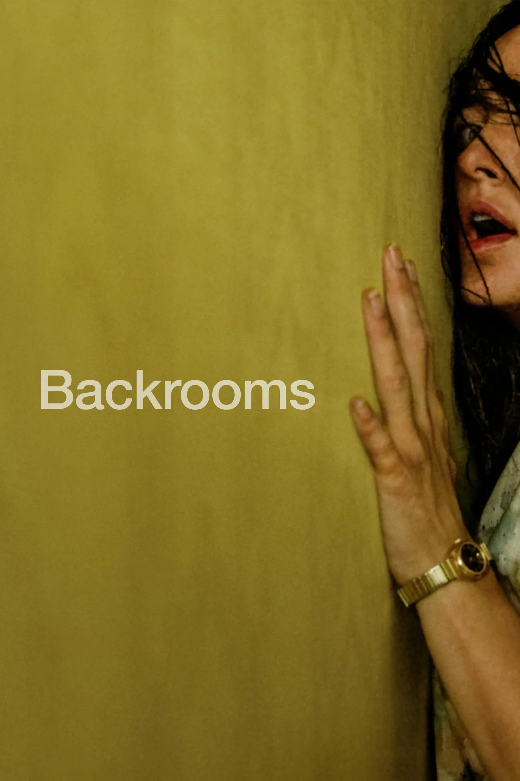 Backrooms poster