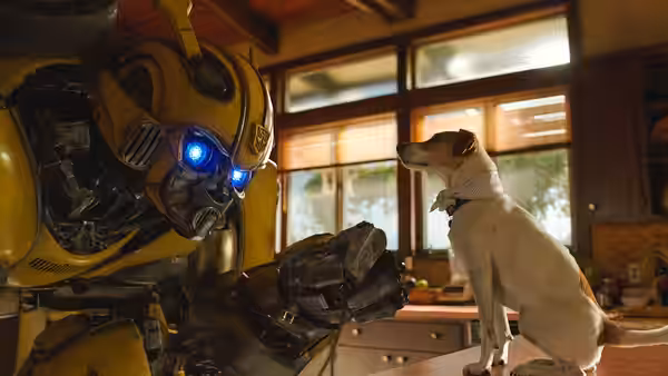 Bumblebee leans toward a white dog sitting on a kitchen counter