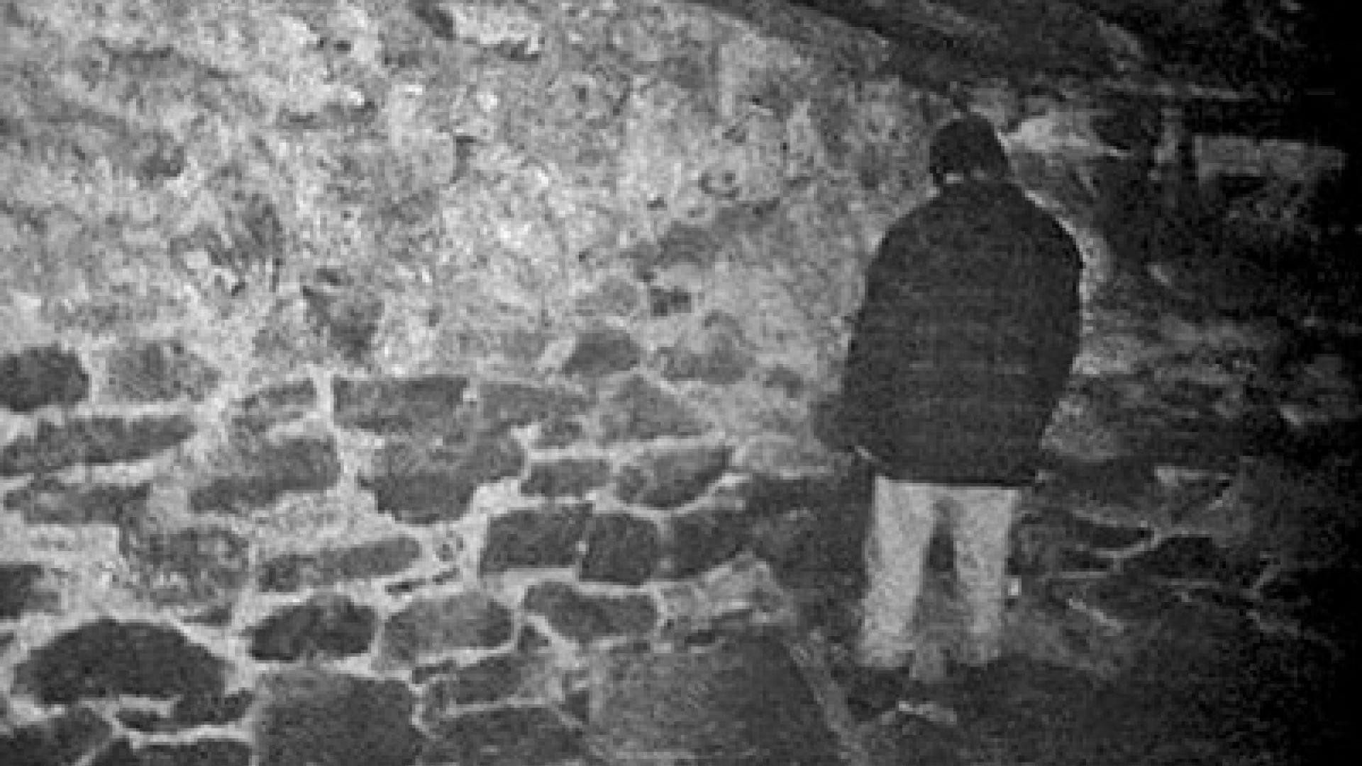 The Blair Witch Project, still 2