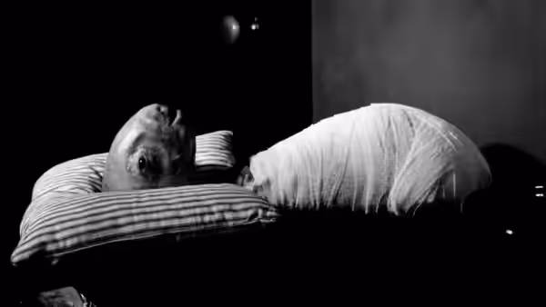 an infant with oversized head wrapped in cloth on striped pillow