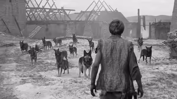 A man stands with his back to a pack of dogs outside an industrial structure