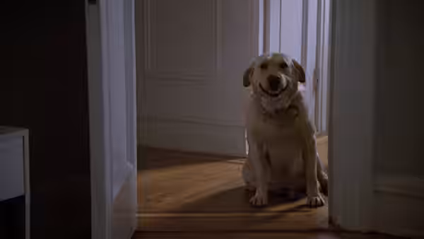 Fatal Attraction, still 6
