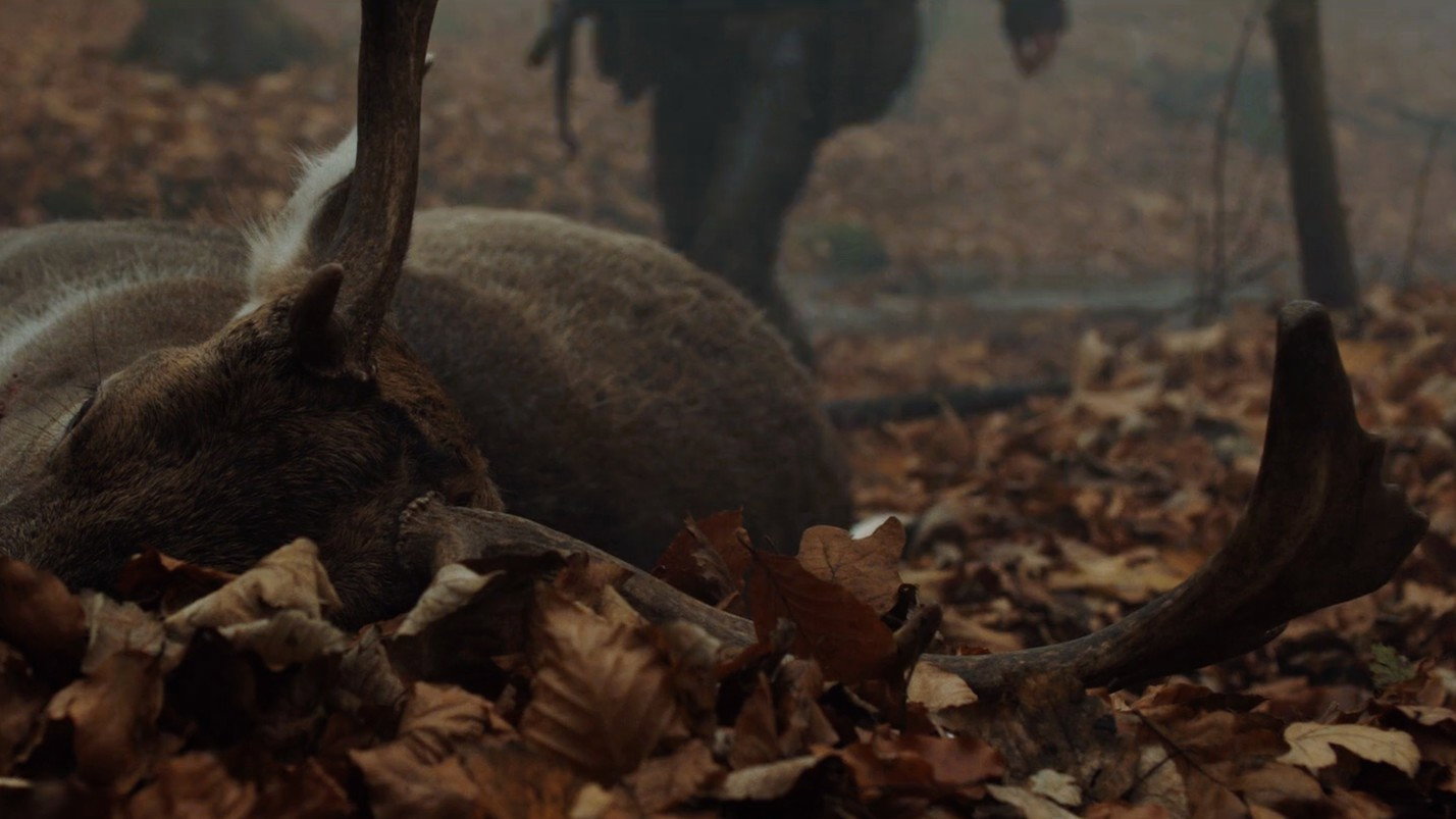 The Hunt, still 6