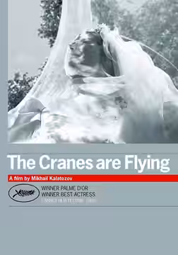 The Cranes Are Flying poster 4